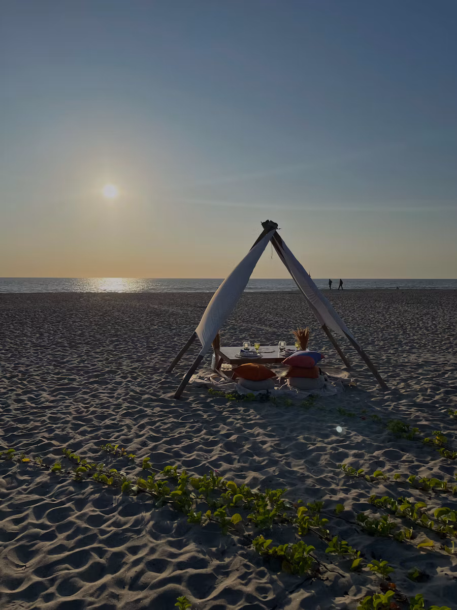 Honeymoon atmosphere