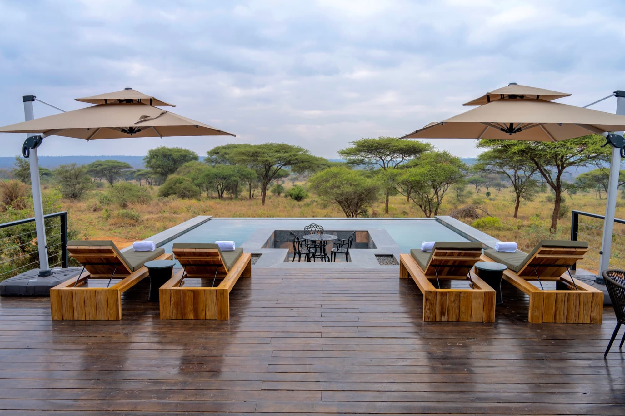 Tarangire Elephant Springs