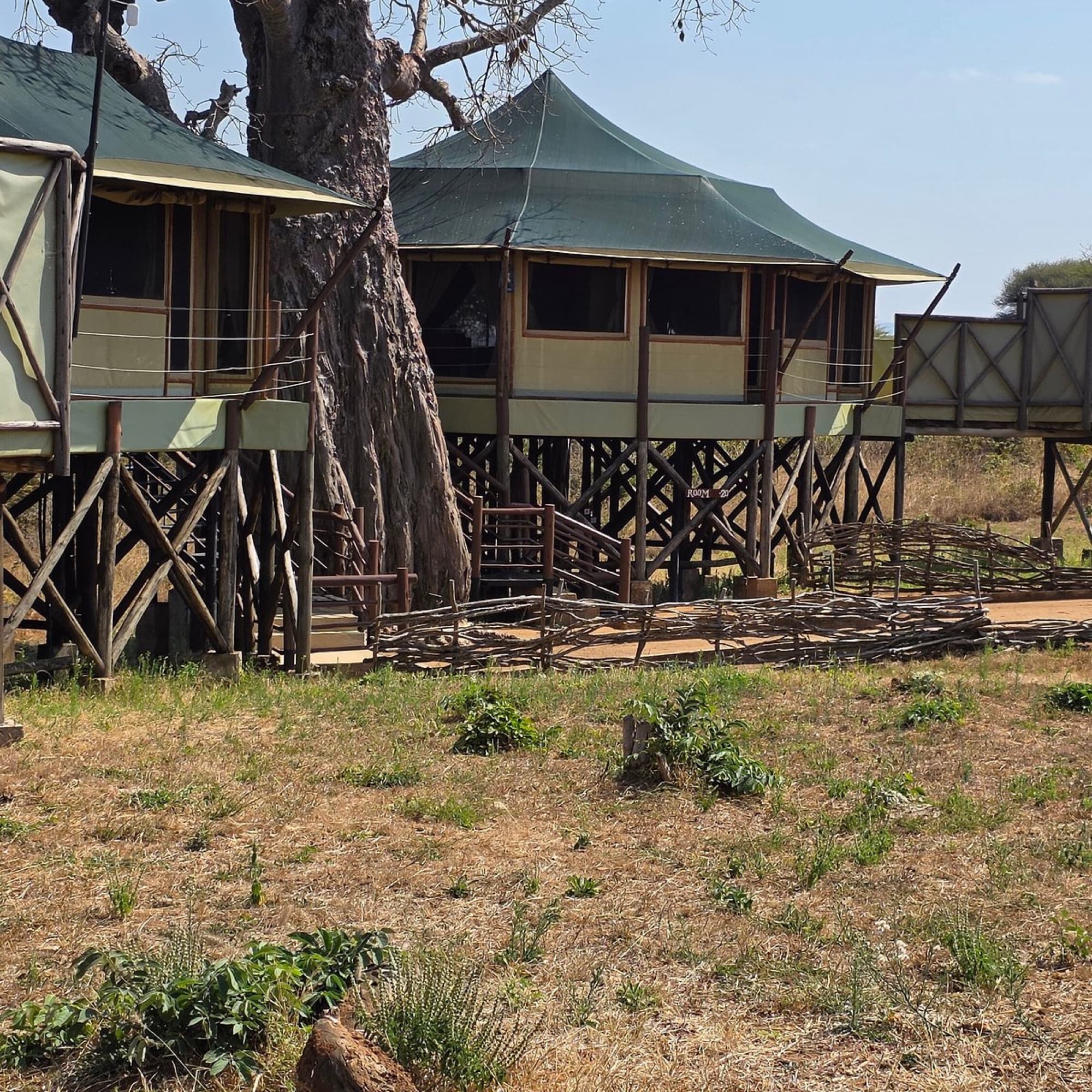 Kuro Treetops Lodge, Tarangire